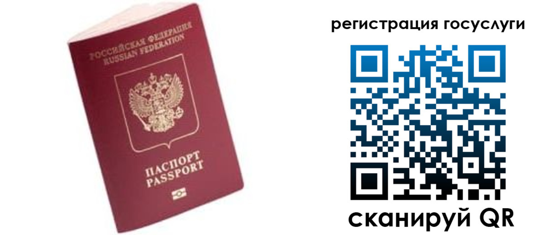 прописка поиск в Светлом